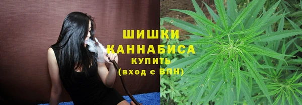 дмт Абаза