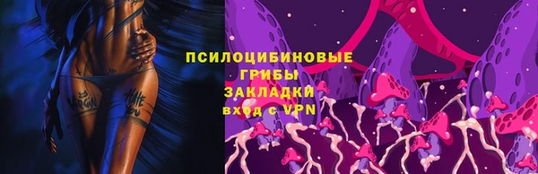 дмт Абаза