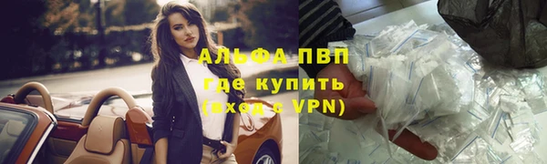 дмт Абаза