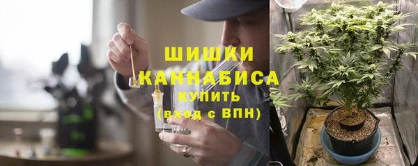 дмт Абаза