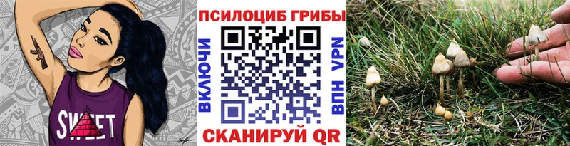 купить   OMG зеркало  Галлюциногенные грибы GOLDEN TEACHER  Знаменск 